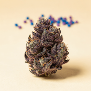 Blue Nerdz THCA Flower